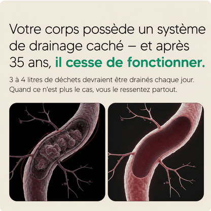 AFRALIS® Drainage Lymphatique – Programme 60 jours