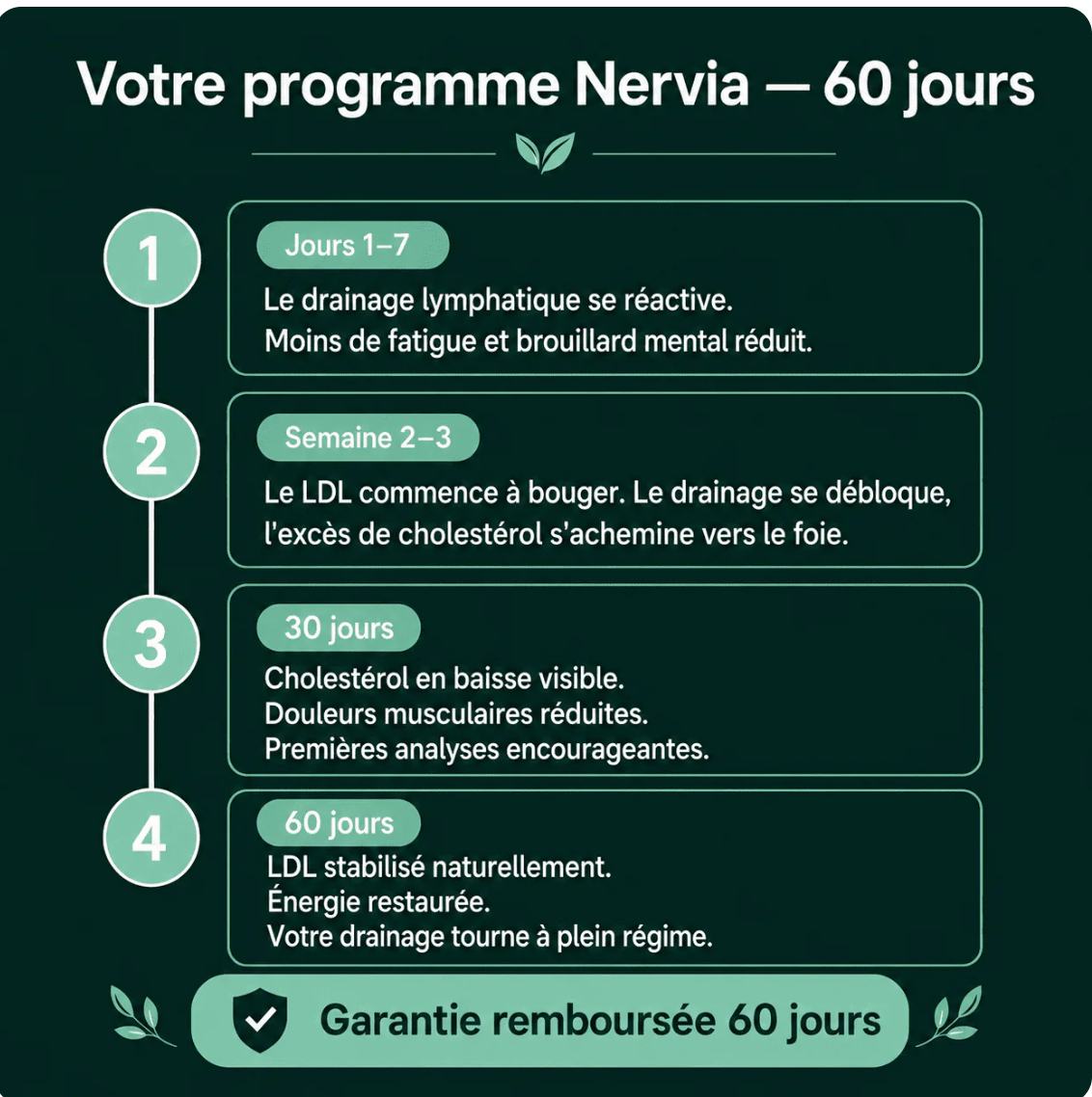 AFRALIS® Drainage Lymphatique – Programme 60 jours