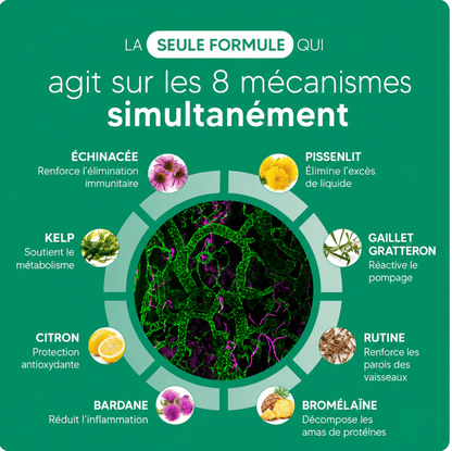AFRALIS® Drainage Lymphatique – Programme 60 jours