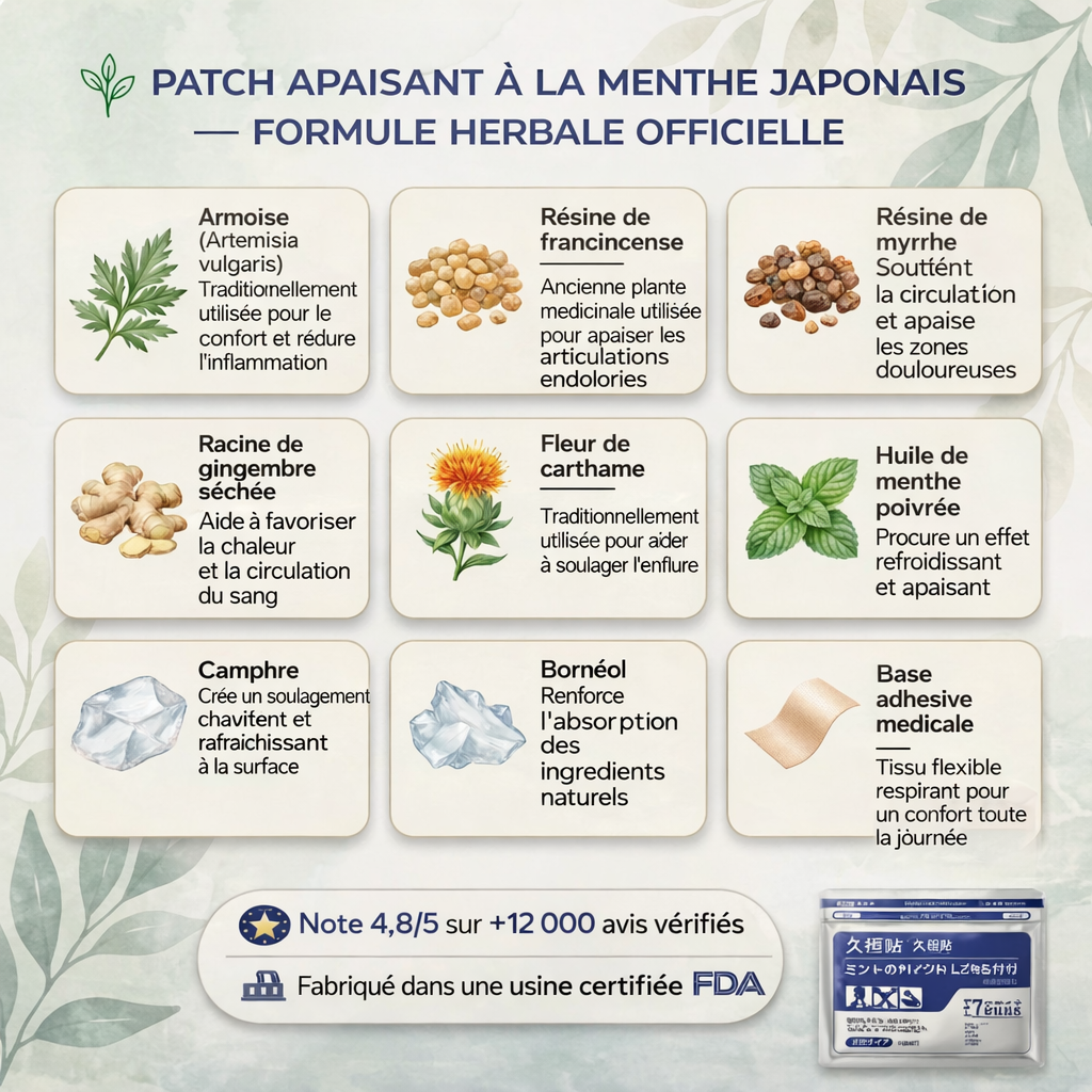 Patch Soulagement Profond  japonais Kampo (Copie)