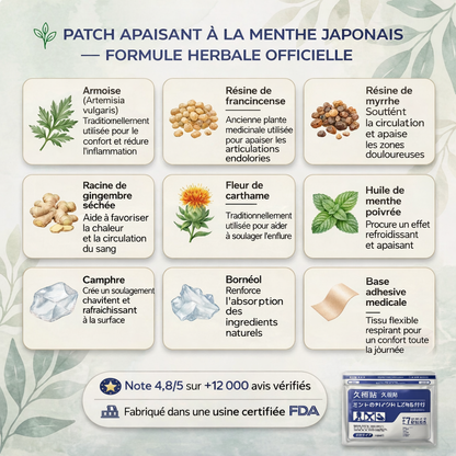 Patch Soulagement Profond  japonais Kampo (Copie)